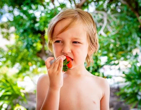 Healthy boy eats delicious red strawberry fruit Stock Photos