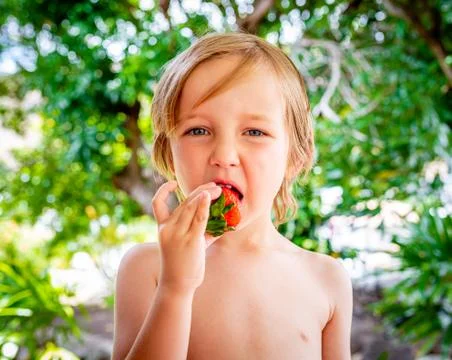 Healthy boy eats delicious red strawberry fruit Stock Photos