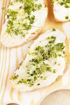 Healthy breakfast. Sandwich with cream cheese and microgreens. Stock Photos