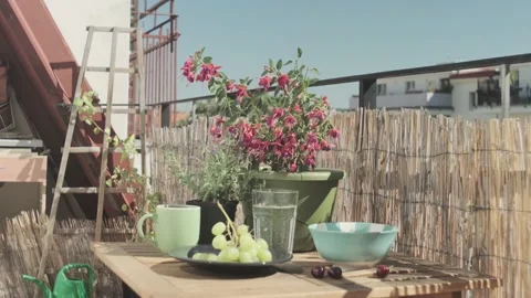 Healthy breakfast in a terrace, static Stock Footage 135808433