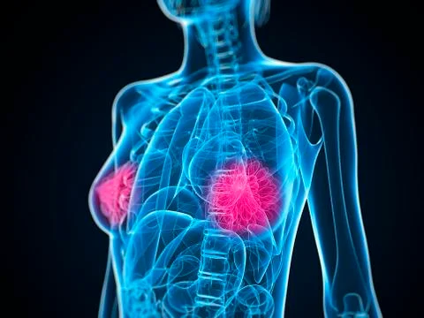Healthy breasts, artwork Stock Illustration