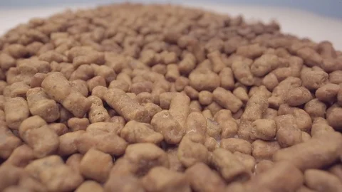 Healthy buckwheat tea Stock Footage 116808459