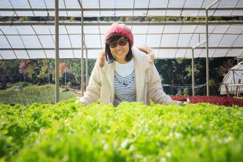 Healthy care woman in hydroponic vegetable green house plantation Stock-Fotos