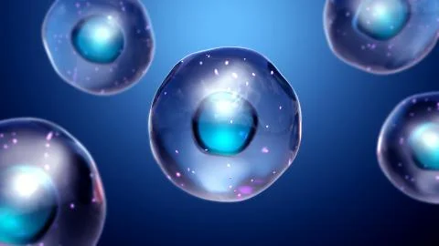 Healthy cells Stock Illustration