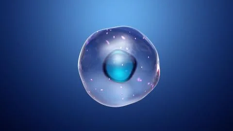 Healthy cells Stock Illustration