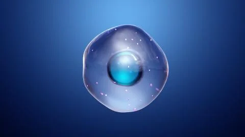 Healthy cells Illustrazione stock