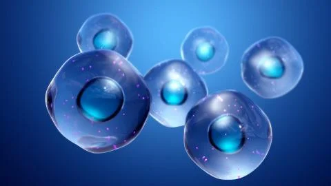 Healthy cells Stock Illustration