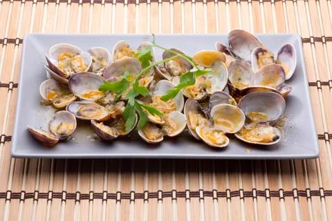 Healthy clams Stock Photos