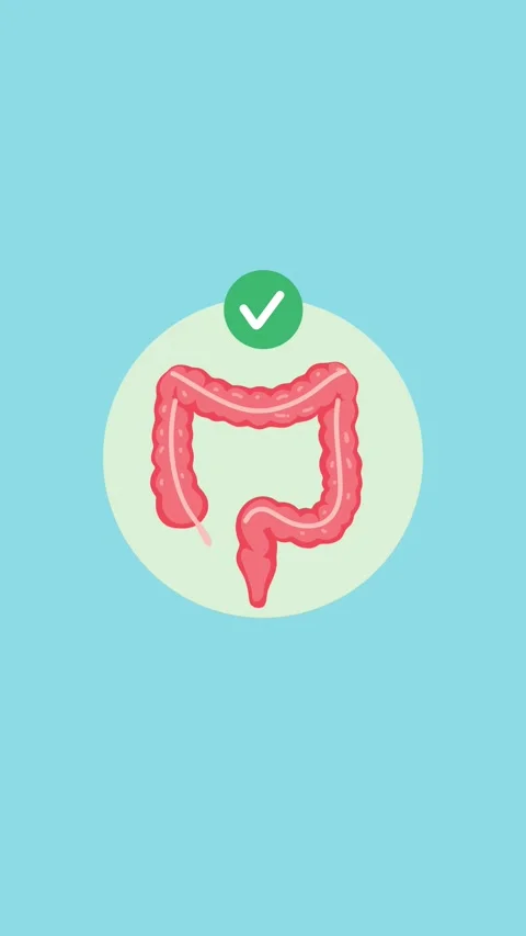 Healthy colon animation Stock Footage 340956139