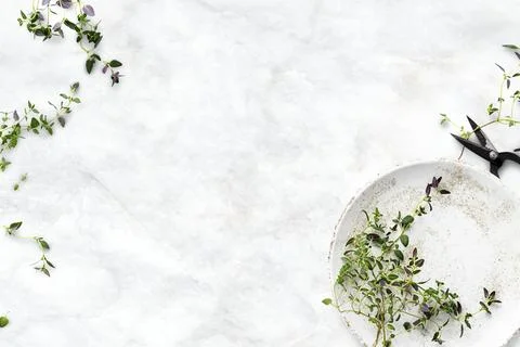 Healthy diet background with thyme leaf border Stock Photos