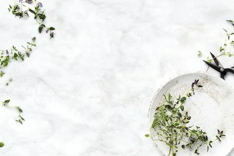 Healthy diet background with thyme leaf border Stock Photos