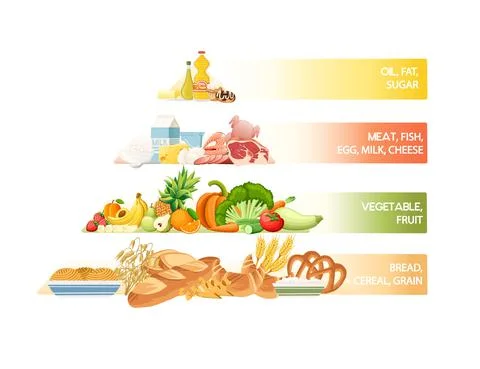 Healthy eating pyramid with different types of food and signatures vector Stock Illustration