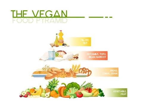 Healthy eating pyramid with different types of food and signatures vector Stock Illustration