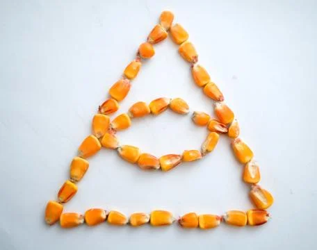 Healthy ecological corn in the form of a triangle with an eye on a white back Stock Photos