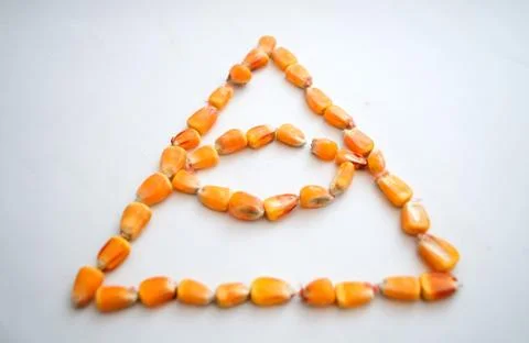 Healthy ecological corn in the form of a triangle with an eye on a white back 写真素材