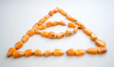 Healthy ecological corn in the form of a triangle with an eye on a white back 写真素材