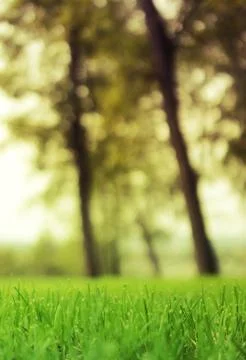 Healthy environment Stock Photos