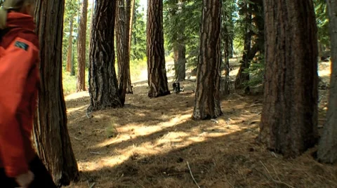 Healthy Female Trekking Through a National Park Stock Footage