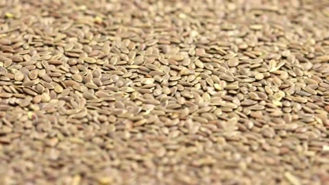 Healthy flaxeeds Stock Footage 269100577