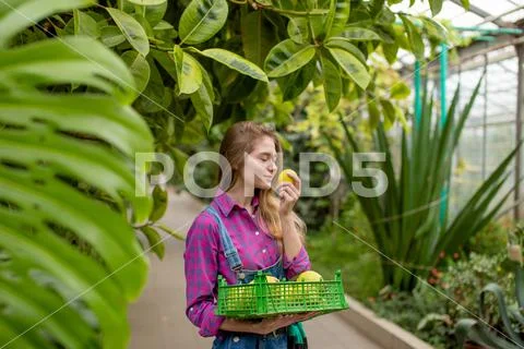 Healthy food. fruit for happy mood. Stock-Fotos