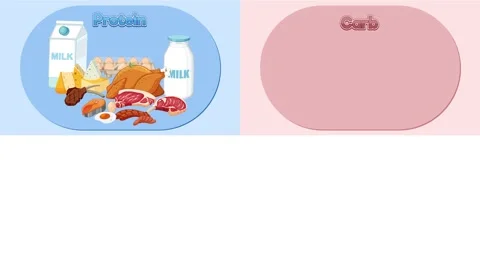 Healthy food groups classification animation with protein carbs fats and ve.. Vídeo Stock 333815139