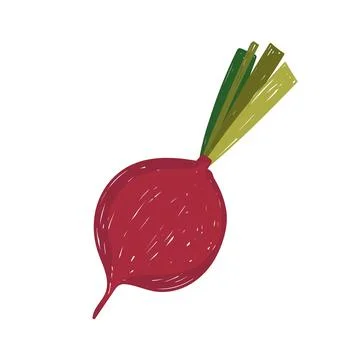 Healthy food vegetable beetroot flat icon style Stock Illustration