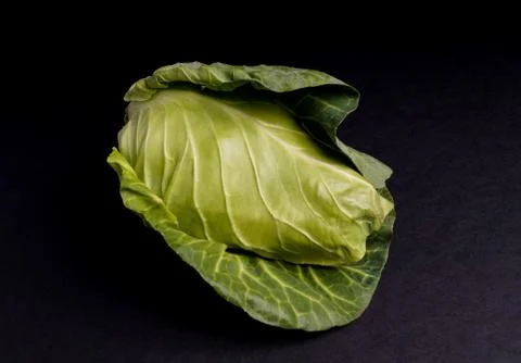 Healthy Fresh Spring Cabbage Stock Photos