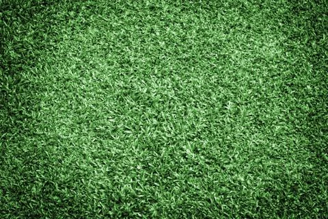 Healthy Grass Texture Stock Photos