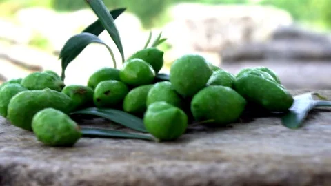 Healthy Green Olive Stock Footage 112515862