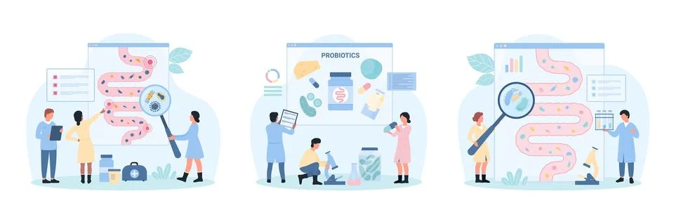 Healthy gut microbiome set, tiny people with magnifying glass check good and bad Stock Illustration