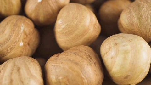 Healthy hazelnuts on a light background close-up Stock Footage 106413765