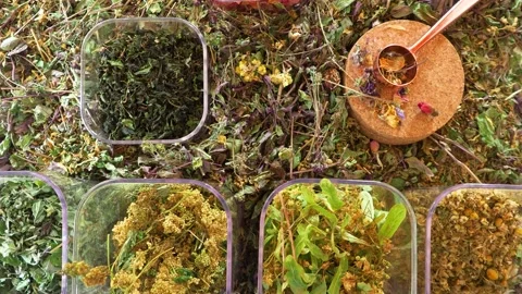 Healthy healing herbs for tea Video stock 137035477