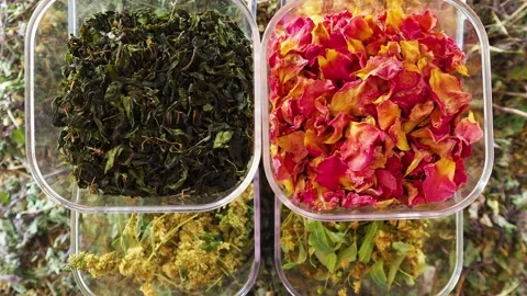 Healthy healing herbs for tea 库存影片 137040991