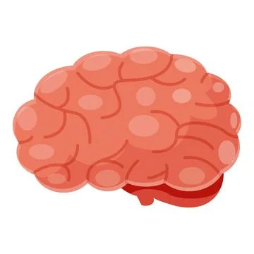 Healthy human brain representing intelligence and creativity 스톡 일러스트