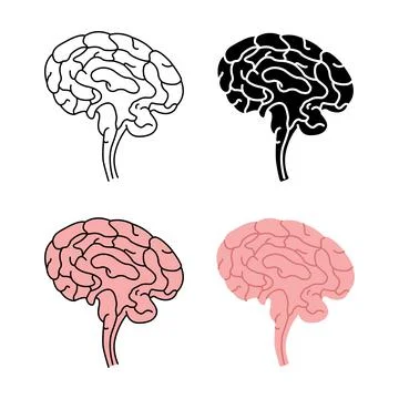 Healthy human brain side view vector illustration isolated on white backgroun Stock Illustration