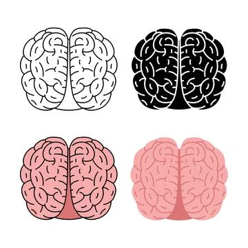 Healthy human brain vector illustration isolated on white background Stock Illustration