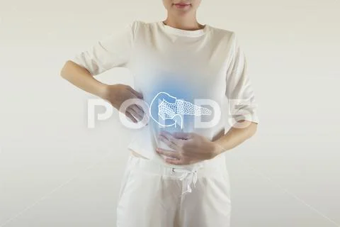 Healthy human pancreas highlighted blue on woman body Stock Photos