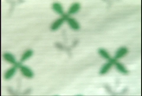 Healthy Lima Beans Pan Stock-Footage 95513