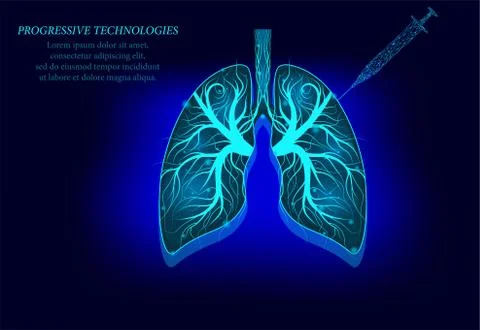 Healthy lungs 3d model of low poly medicine. Progressive technology. Human lu Illustrazione stock