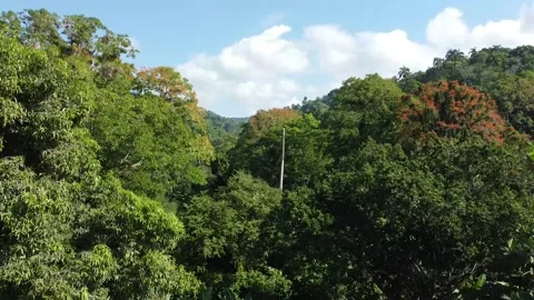 Healthy Mountains Stock Footage 234736774