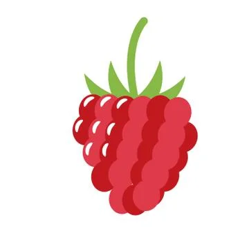 Healthy organic fruit raspberry Illustrazione stock
