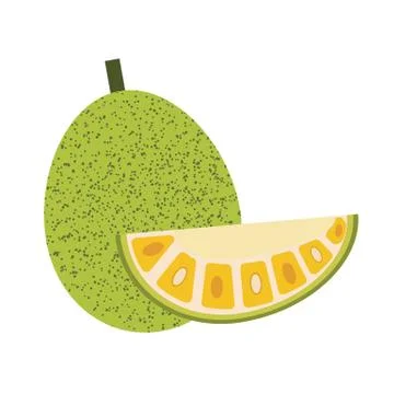 Healthy organic jackfruit Stock Illustration