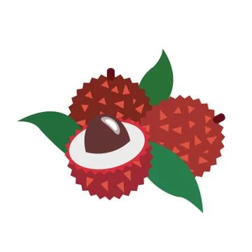 Healthy organic lychee Stock Illustration