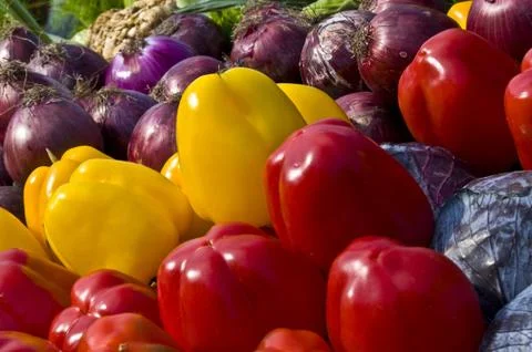 Healthy Foto stock