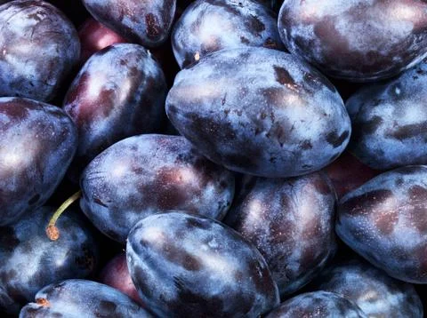 Healthy plums Stock Photos