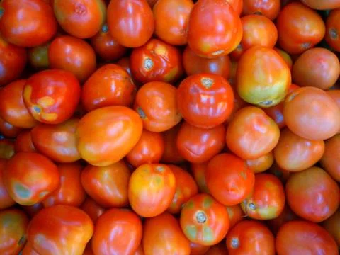 Healthy red tomato vegetable Stock Photos