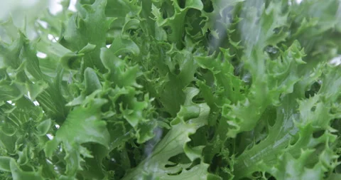 Healthy salad, view from above  Stock Footage 315560792
