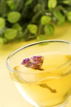 Healthy scented tea Stock Photos