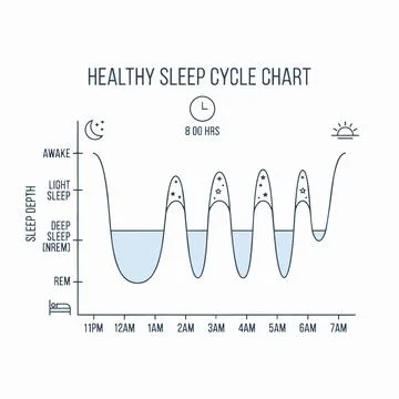 Healthy sleep cycle chart, sleep stages graph, REM, NREM, light deep sleep .. Stockillustratie