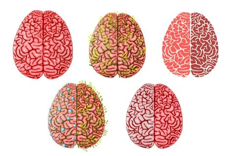 Healthy smart creative brain, brainstorming and intellect study. Illustrazione stock